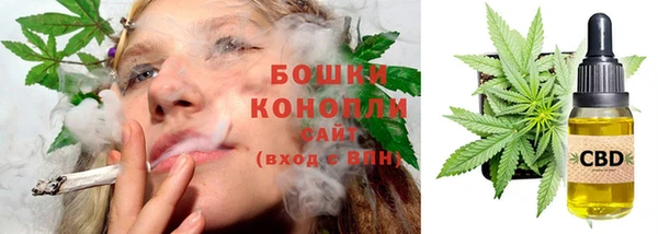 ГАЛЛЮЦИНОГЕННЫЕ ГРИБЫ Киреевск