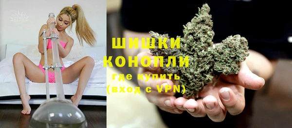 PSILOCYBIN Кинешма