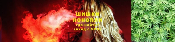 ГАЛЛЮЦИНОГЕННЫЕ ГРИБЫ Киреевск
