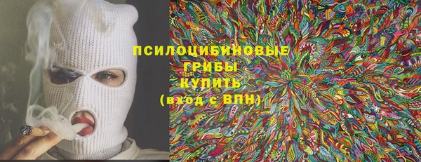 ГАЛЛЮЦИНОГЕННЫЕ ГРИБЫ Киреевск