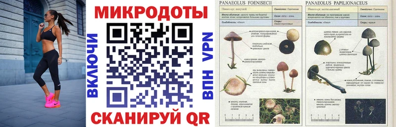 Купить закладки  Спас-Деменск  Галлюциногенные грибы GOLDEN TEACHER 